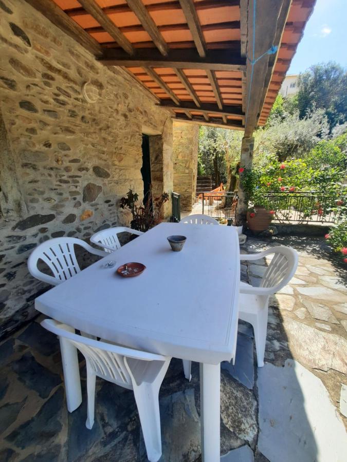 Casa Penafalcao Castelo Branco  Kültér fotó